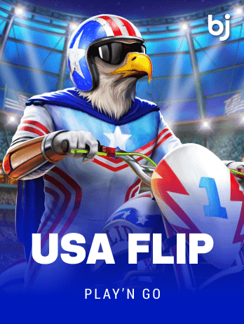 USA Flippng icon
